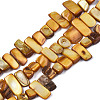 Natural Trochid Shell/Trochus Shell Beads Strands SHEL-S258-082-B09-1