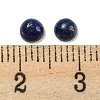 Natural Lapis Lazuli Cabochons G-H309-03-42-3