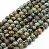 Natural African Turquoise(Jasper) Beads Strands G-D840-15-6mm-1