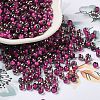 Transparent Inside Colours Glass Seed Beads SEED-H002-A-C207-1