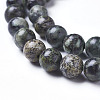 Natural African Turquoise(Jasper) Beads Strands G-D809-02-8mm-2