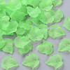 Autumn Theme Transparent Frosted Acrylic Pendants X-PAF002Y-28-1