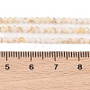 Natural Freshwater Shell Beads Strands SHEL-T011-02-4mm-4