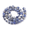 Natural Sodalite Beads Strands X-G-T106-213-3