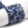 Transparent Glass Beads Strands GLAA-H027-01B-1