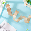 1 Roll Transparent Polyester Ribbon OCOR-TA0002-34E-4