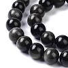 Natural Silver Obsidian Beads Strands X-G-D083-01C-3