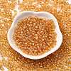 Glass Seed Beads SEED-XCP0001-33-2