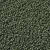 MIYUKI Delica Beads SEED-J020-DB1135-3