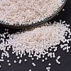 MIYUKI Delica Beads LS-X-SEED-J020-DB1490-1