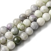 Natural Peace Jade Beads Strands G-E598-04D-1