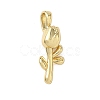 Brass Pendants KK-A273-29G-1
