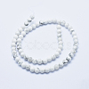 Natural Howlite Beads Strands G-P353-01-6mm-2