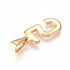 304 Stainless Steel Pendants STAS-L210-05I-G-2