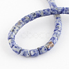 Natural Blue Spot Jasper Bead Strands X-G-R187-06-2