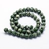 Natural Green Spot Jasper Beads Strands G-I199-30-6mm-2