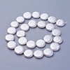 Shell Pearl Beads Strands X-BSHE-P030-01D-1