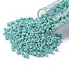 TOHO Round Seed Beads SEED-JPTR08-0413F-1