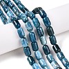 Natural Apatite Beads Strands G-G980-51B-2