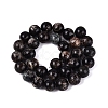 Natural Biotite Beads Strands G-Q616-01E-3