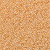 MIYUKI Round Rocailles Beads X-SEED-G007-RR0202-3