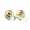 Translucent Acrylic Cabochons TACR-N006-13C-2