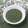 MIYUKI Delica Beads LS-X-SEED-J020-DB1135-2