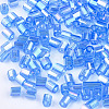 FGB Grade A Glass Seed Beads SEED-S022-05C-2