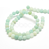 Natural Amazonite Bead Strands X-G-G684-03-8mm-2