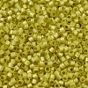 MIYUKI Delica Beads X-SEED-J020-DB2187-3