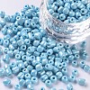 6/0 Glass Seed Beads SEED-A012-4mm-123-1