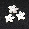 Natural White Shell Beads X-SSHEL-I008-03-2