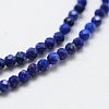 Natural Lapis Lazuli Bead Strands X-G-G663-48-2mm-3