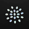 20Pcs Transparent Spray Painted Glass Charms GLAA-YW0001-06-3