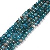 Natural Apatite Beads Strands G-D856-01-4mm-5