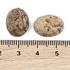 Natural Picture Jasper Cabochons G-Q186-01B-3