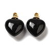 Natural Obsidian Perfume Bottle Pendants G-Z039-03G-04-1