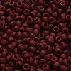 TOHO 6/0 Round Beads SEED-XTR06-0046F-4