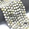 Natural White African Opal Beads Strands G-K389-A35-01-2