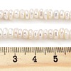 Natural Keshi Pearl Cultured Freshwater Pearl Beads Strands PEAR-C003-31A-5