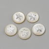 Natural Freshwater Shell Beads X-SHEL-Q011-008P-1