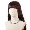 4Pcs 4 Colors Glass Seed Beaded Necklaces Set for Women NJEW-JN03950-3