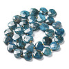 Natural Apatite Beads Strands G-B044-B06-01-2