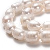 Natural Cultured Freshwater Pearl Beads Strands PEAR-L033-83-2