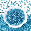 Transparent Glass Seed Beads SEED-N007-33B-09-2