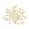 Natural New Jade Beads G-A023-01C-1