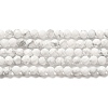 Natural Howlite Beads Strands G-E608-A01-B-1