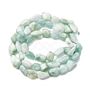 Natural Glass Beads Strands G-K395-A02-01-3