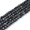 Natural Seraphinite Beads Strands G-L537-014-1