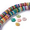 Natural Freshwater Shell Beads Strands X-BSHE-I016-04F-4